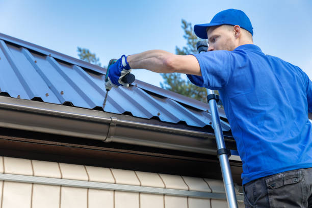 Best Gutter Installation and Repair  in Vienna, IL