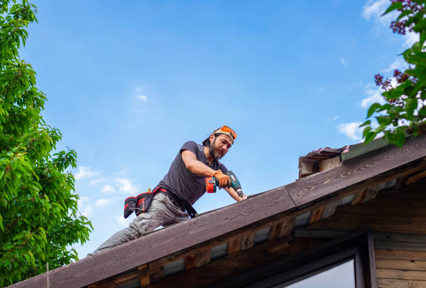 Best Metal Roofing Installation  in Vienna, IL