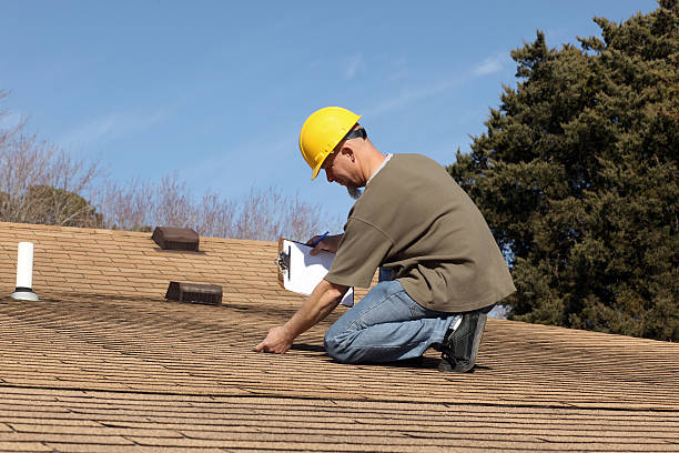 Roof Moss and Algae Removal in Vienna, IL