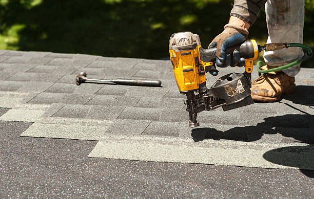 Best Roof Maintenance and Cleaning  in Vienna, IL